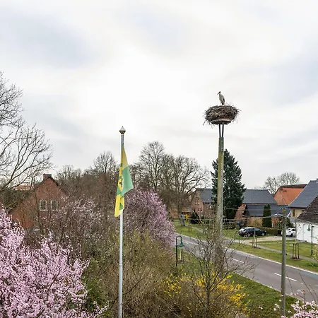 In Am Mueritzsee Buchholz (Mecklenburg-Vorpommern)