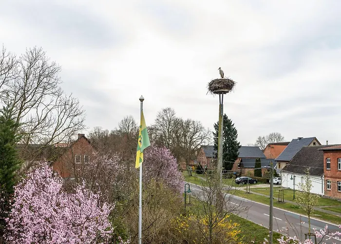 In Am Mueritzsee Buchholz (Mecklenburg-Vorpommern)
